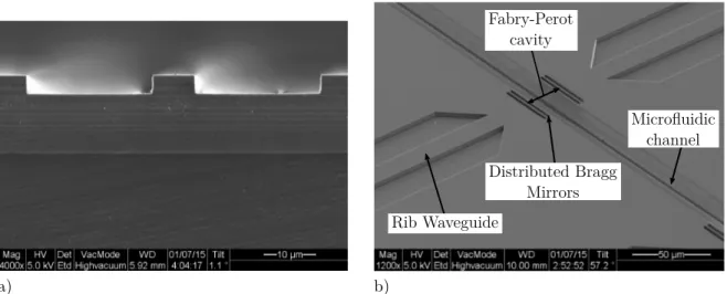 Figure 4.3 SEM images of a microfabricated device showing (a) rib waveguide facet geometry and (b) structure of a rib waveguide coupled to a Fabry-Perot cavity composed of two DBRs.