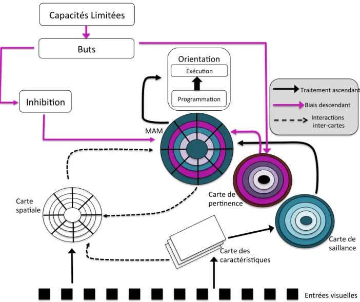 Figure 12. Modèle du Master Activation Map de Michael et al (2006 ; 2007). Une carte MAM combine les résultats des calculs des cartes de  pertinence,  de  saillance  et  de  la  carte  spatiale  des  localisations