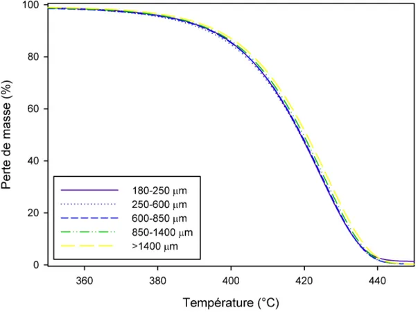 Figure 3.5 Analyse thermogravimétrique conventionnelle du polystyrène pour différentes tailles de particules avec un taux de chauffe de 5 ◦ C min −1