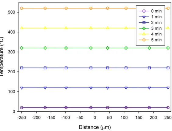 Figure 3.6 Simulation COMSOL sur une particule de polystyrène de 500 µm avec un taux de chauffe de 100 ◦ C min −1