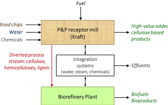 Figure 2-7 Distribution and share of resources in an integrated biorefinery complex  2.3.3  The sugar platform  