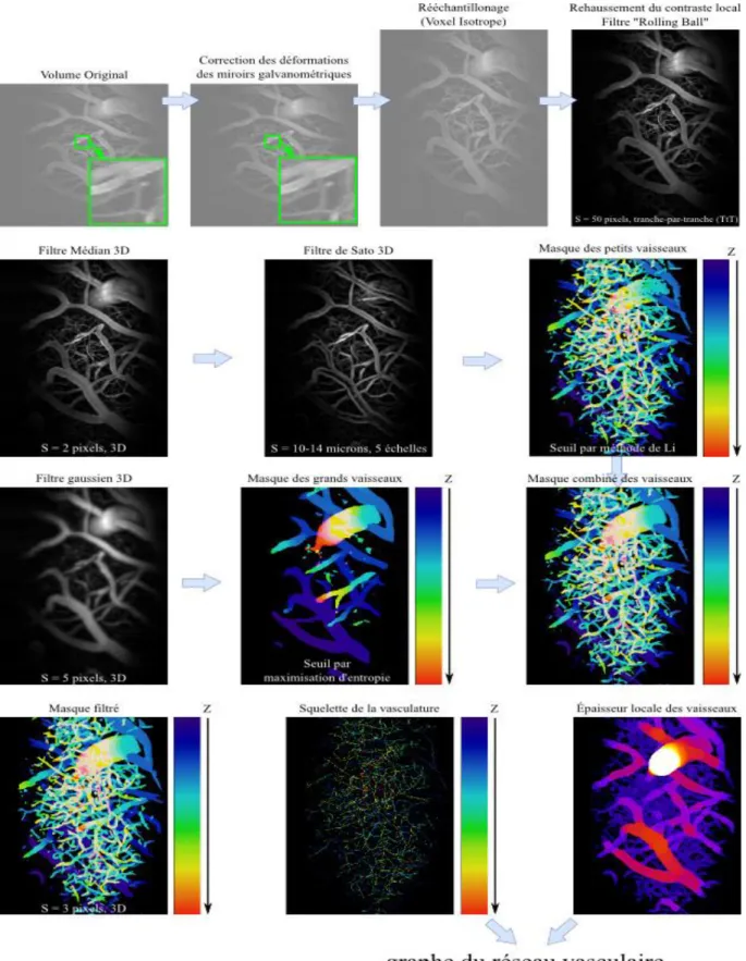 Figure  3.4  :  Représentation  détaillée  de  chaque  étape  de  la  méthode  de  segmentation