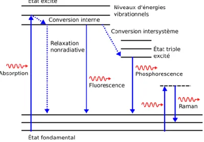 Figure  2.5  Diagramme  de  Jablonsky  représentant  l’absorption  d’un  photon  et  plusieurs  mécanismes de relaxations possibles