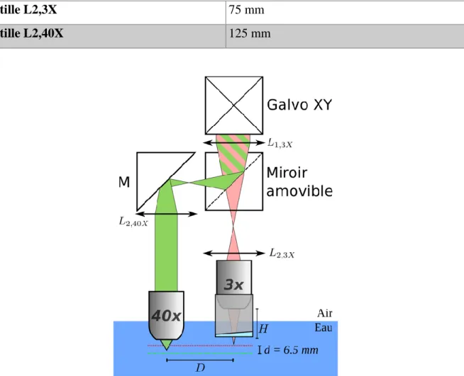 Figure 3.2 Représentation schématique du bras échantillon. Les distances ne sont pas à l’échelle