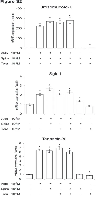 Figure  S2.  Torasemide  did  not  enhance  MR  sensitivity  to  a  low  dose  of  spironolactone  for  the  regulation of endogenous genes in H9C2-MR cells