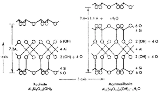 Figure  2.7 Organisation moléculaire des feuillets tétraédriques et octaédriques de la Kaolinite et  de la Montmorillonite