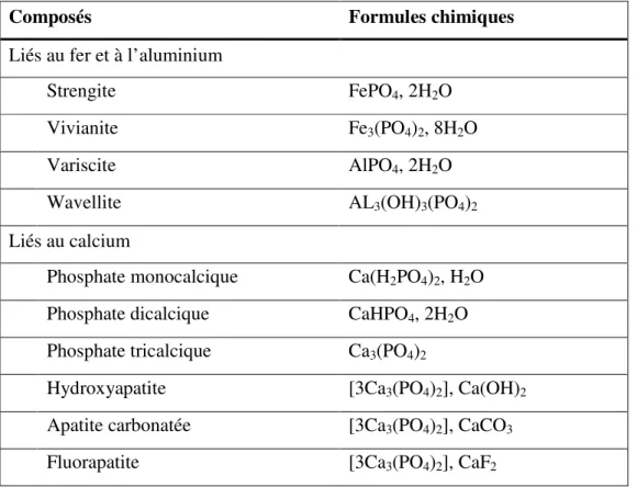 Tableau   2.2  Précipités  de  phosphore  communément  retrouvés  dans  les  sols  et  les  sédiments  d’eaux douces