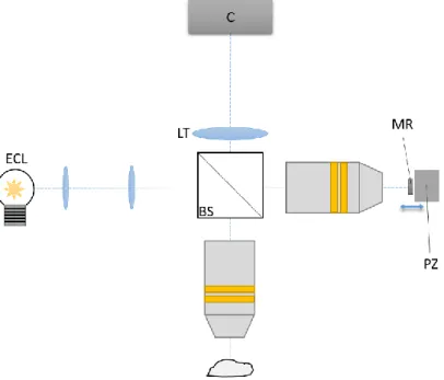 Figure 15 : Schéma d’un dispositif d’OCT Plein Champ basé sur une configuration  de Linnik