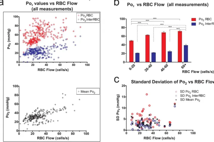 Figure 3 : The correlation of RBC flow with capillary and tissue P O2  in the olfactory bulb GL