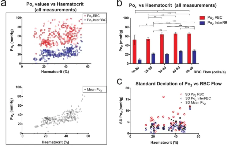 Figure 4 : The correlation of haematocrit with capillary and tissue P O2  in the olfactory bulb GL