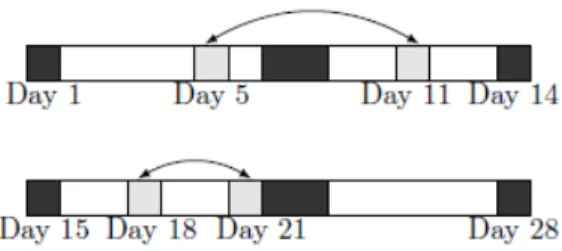 Figure 4.4 – Illustration of flip movements