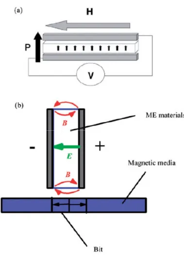 Figure 1.1: a. Multiferroic materials as a probe of the magnetic eld. The middle layer (the white layer) is multiferroic, and the upper and lower layers (grey layers) are ferromagnetic metals
