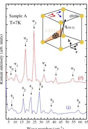 Figure 1.24: Raman spectra of spin excitations in BiFeO 3 low temperature (7 K) and inside gure shows the laser polarization directions and the crystal structure of BiFeO 3 .(Cazayous et al., 2008)