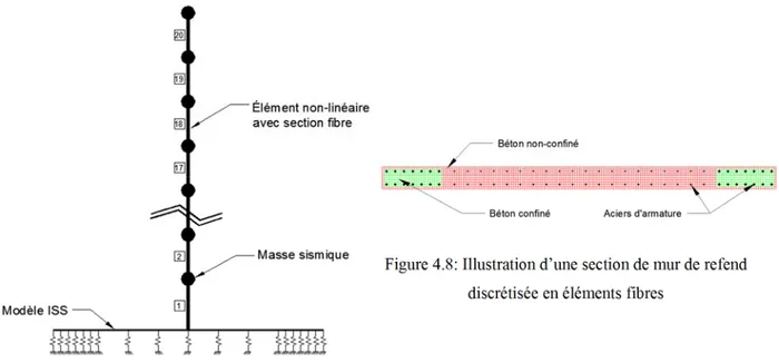 Figure 4.7: Illustration de la modélisation MR par  éléments non-linéaires avec section fibre 