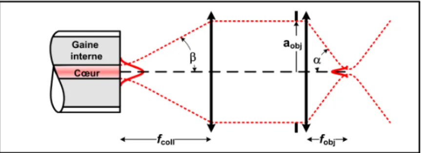 Figure 1.4 Imagerie confocale en r´ eflectance r´ eciproque utilisant une fibre ` a double gaine.