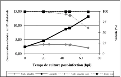 Figure 5.2 : Cinétiques de croissance pour des cultures non-infectée et infectée avec les trois baculovirus  pour la production de VLP