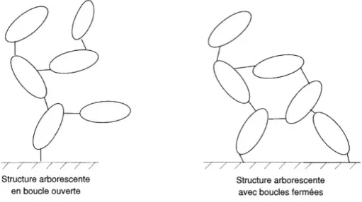Figure 2.16 Exemples de structures arborescentes considérées en modélisation multi-corps (Image adaptée de [119])