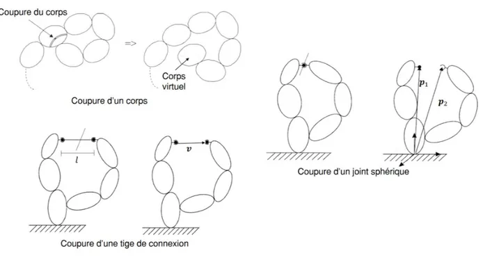 Figure 2.17 Méthodes d’ouverture des boucles cinématiques et illustration des variables des équations 2.3-2.4 (Image adaptée de [119])
