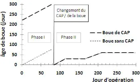 Figure 3-5 Âge de la boue pour le bioréacteur avec CAP et le bioréacteur sans CAP