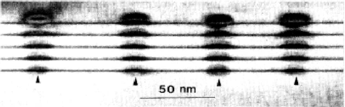 Figure 2-3 : Image de microscopie électronique en transmission en vue transversale de cinq couches  de BQ d’InAs séparées par 36 MC de GaAs(001)