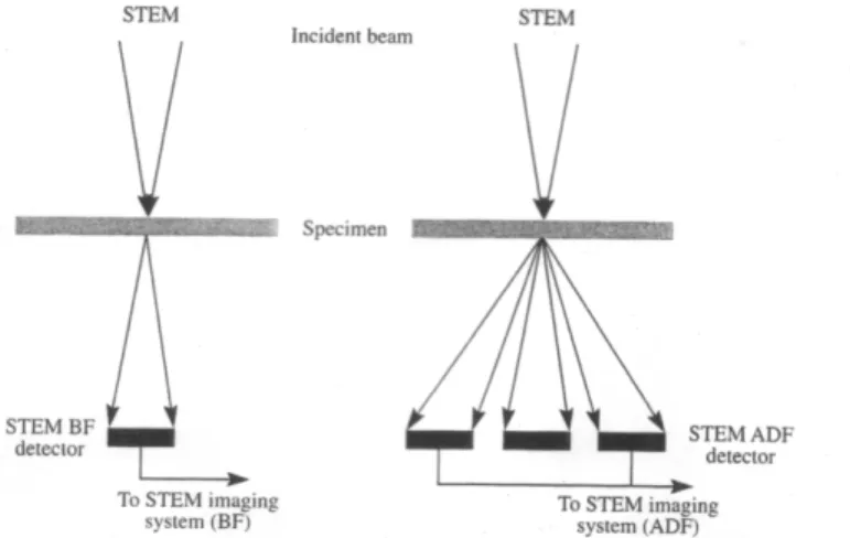 Figure  3-6 :  Schéma  d’opération  du  STEM :  à  gauche,  imagerie  en  fond  clair  (BF)  et  à  droite,  imagerie en fond sombre (DF) à l’aide d’un détecteur annulaire