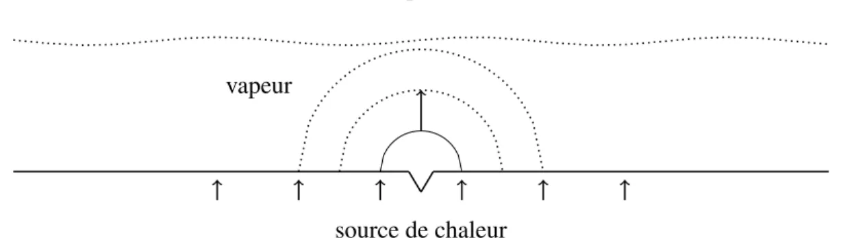 Figure 1.1 Représentation 2D de l’ébullition. On voit l’évolution d’une bulle de vapeur, qui prend naissance dans une inclusion située dans la surface du fond chauffé
