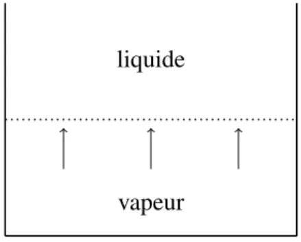Figure 5.1 Représentation 2D de l’ébullition unidimensionnelle. L’interface entre la phase vapeur et la phase liquide est en trait pointillé.