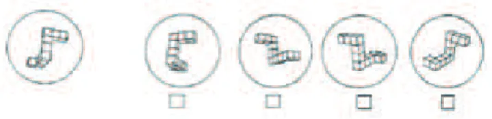 Figure 3 : Exemple présentant le type de question du MRT 