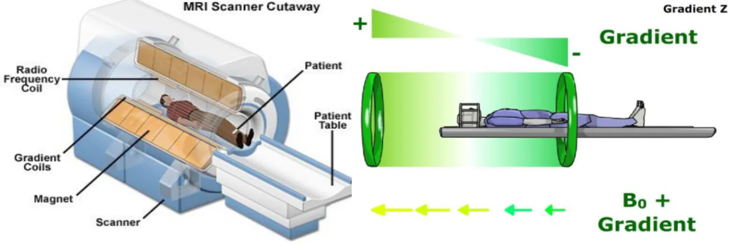 Figure 2.6 : Configuration d'un appareil IRM classique et principe de fonctionnement des  gradients de sélection (suivant la direction 