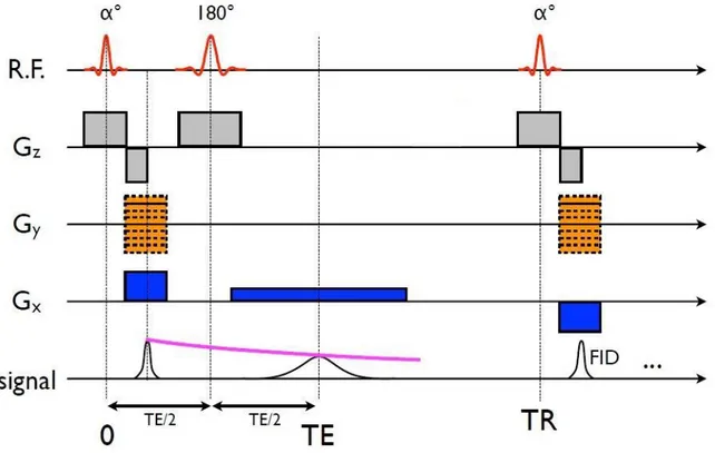 Figure 2.8 : Représentation schématique d'une séquence d'écho de spins. Source :  présentation de Julien Cohen-Adad