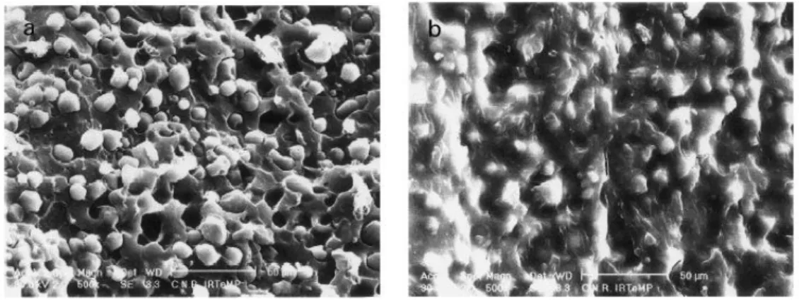 Figure  1.21  (a)  SEM  micrograph  of  fractured  surface  of  PCL/starch.  (b)  SEM  micrograph  of  fractured surface of PCL/starch with compatibilizers