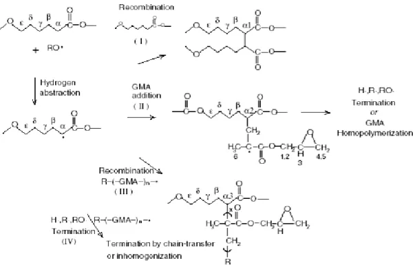Figure 1.23 Reaction pathway for the grafting reaction of GMA on PCL 