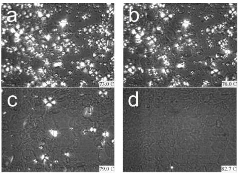 Figure  3.3  Optical  microscope  observation  of  starch  gelatinization  plasticized  by  mixtures  of  water and glycerol (water/glycerol/dry starch=150g/150g/100g)