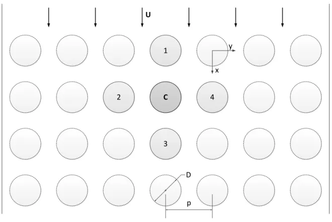 Figure 2-3 : Unsteady model 
