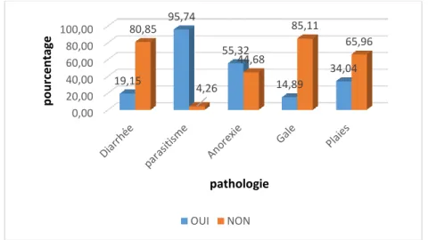 Figure n° 4: répartition selon les pathologies et symptomatologies rencontrées  chez les porcs dans la commune de Bambey (nos enquêtes 2019)