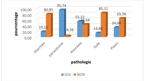 Figure n° 4: répartition selon les pathologies et symptomatologies rencontrées  chez les porcs dans la commune de Bambey (nos enquêtes 2019)