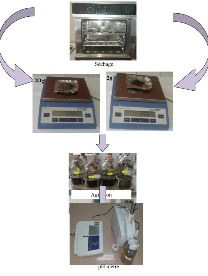 Figure 6. Principales étapes de mesure du pH.pH mètre 
