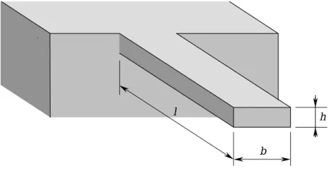 figure 1   : Définition du levier. 