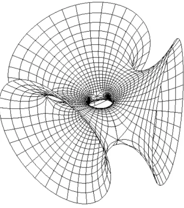 Fig. 3.1 { Un exemple de 3-no  de de genre 1