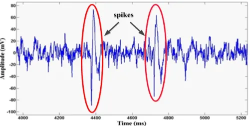 Figure 2.8 Recorded signals from an adult male rhesus macaque monkey 