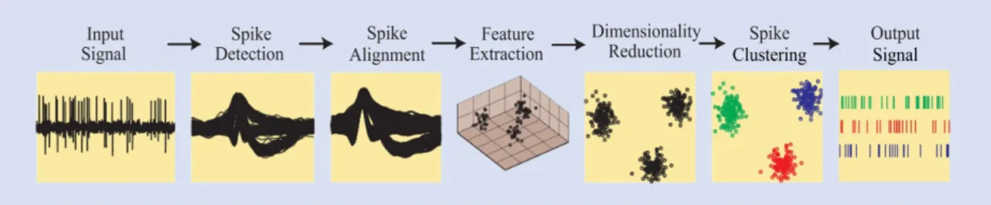 Figure 2.16 The spike sorting used to obtain single-unit activity [88] 