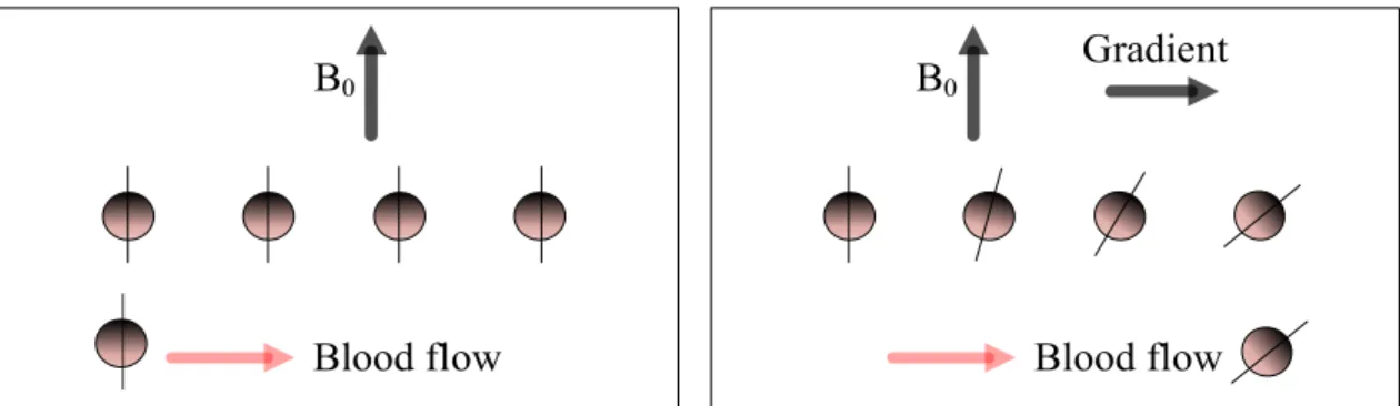 Figure 2-16:  Diagrams show that a spin will acquire a phase difference when moving along the  magnetic gradient