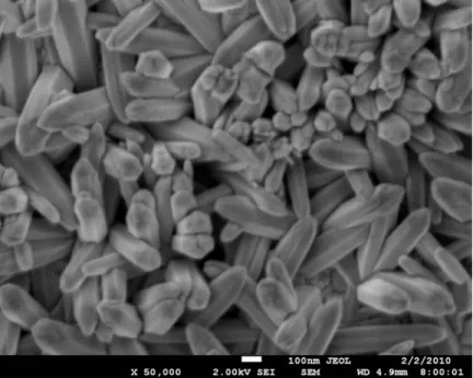 Fig. 13 SEM image at 50K magnification from 5mM+40min and voltage: -1.0 V 