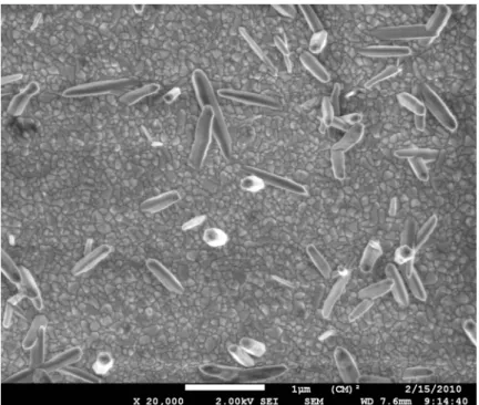 Fig. 18 SEM top view images at constant deposition time and deposition voltage 