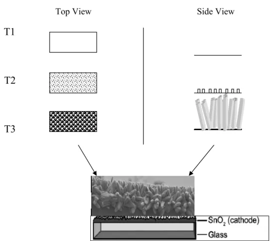 Fig. 23 Schematic of process of nuclei formation and growth