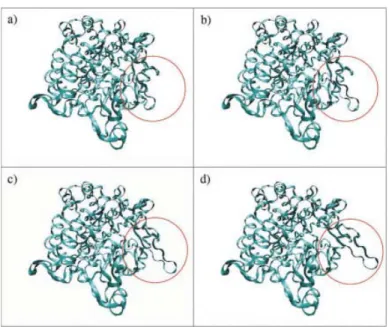 Figure 7. Simulated conformational gating of loop 7 in AS. [Color ﬁgure can