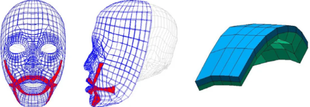 Figure 2. The generic 3D mesh, with embedded main facial muscles 