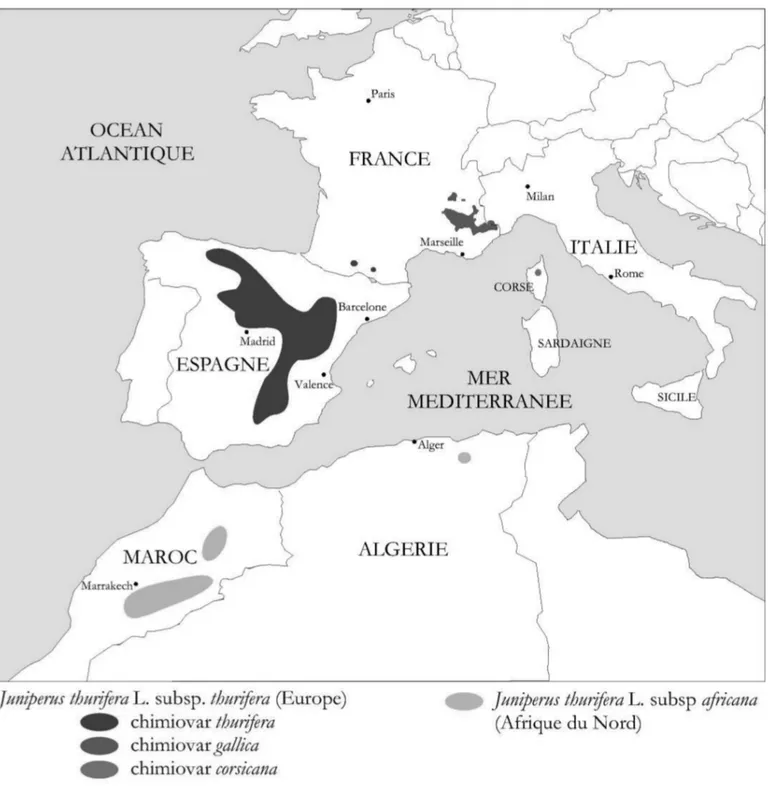 Figure 1 : Répartition du Genévrier thurifère dans le bassin méditerranéen. (Carte : Valérie Bertaudière).