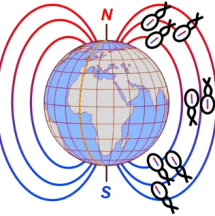 Figure 2-2 : La figure illustre schématiquement la distribution de deux types de BMT polaire (à la  recherche du nord et à la recherche du sud) par rapport aux hémisphères de la planète