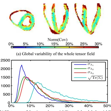 Figure 3.8: Global variability: (a) Variability of the eigenvalues in the statistical atlas of the tensor fields